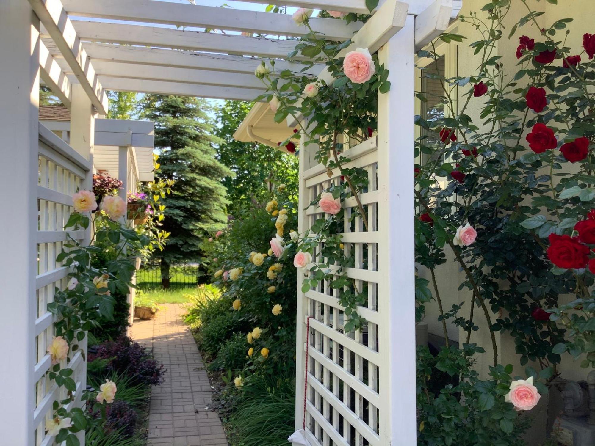 Via Veneto - Old Town Bed & Breakfast Niagara-on-the-Lake ภายนอก รูปภาพ