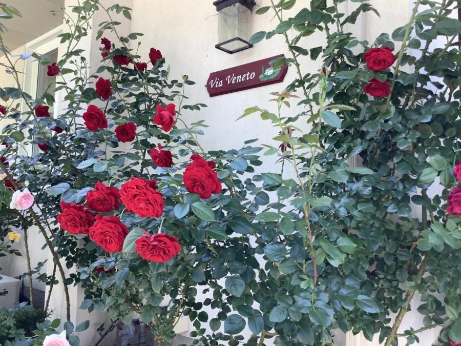 Via Veneto - Old Town Bed & Breakfast Niagara-on-the-Lake ภายนอก รูปภาพ